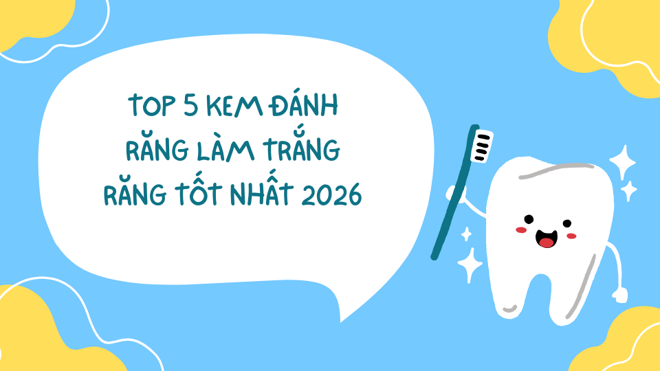 Top 5 kem đánh răng làm trắng răng tốt nhất 2026